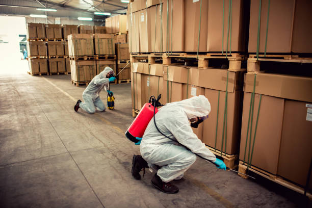 Best Pest Inspection Near Me  in Drum Point, MD