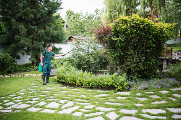 Trusted Drum Point, MD Pest Control Experts