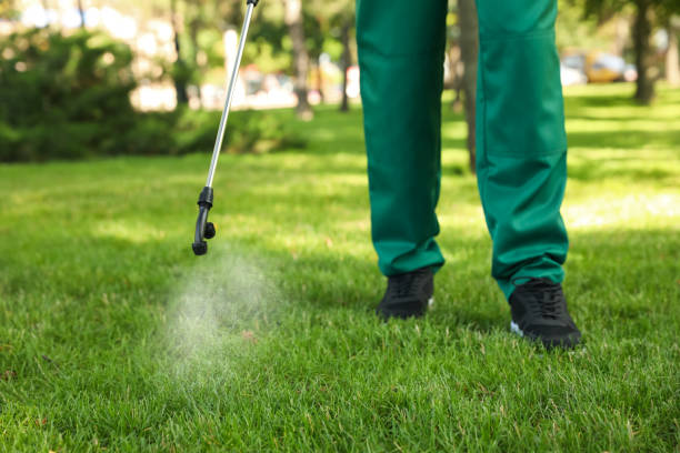 Best Flea Control Services  in Drum Point, MD