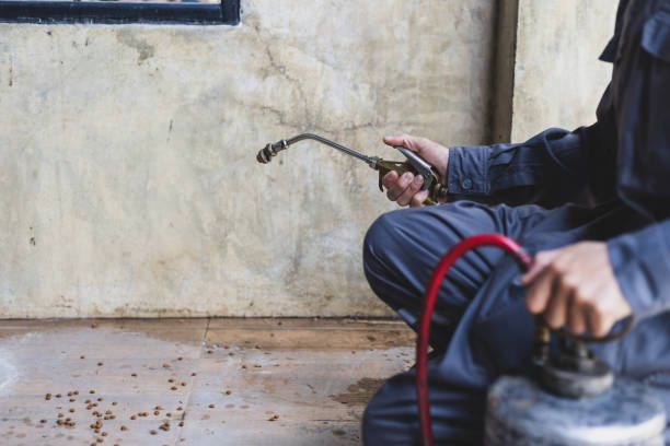 Best Best Pest Control Companies  in Drum Point, MD